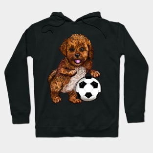 Cavapoo puppy dog with football soccer ball Hoodie